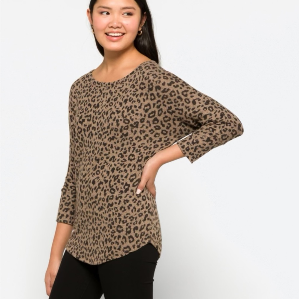 Dolman Knit Top- Market and Spruce